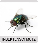 Plissee Insekten